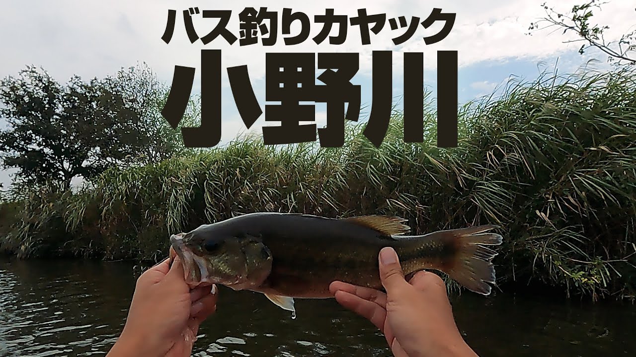 バス釣り(outdoor様用価格へ変更) 小野川バス釣りカヤック【霞水系】 - YouTube