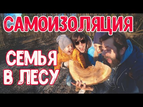 Самоизоляция в лесу