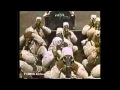 旅の終わりに area3 feat.You-Colin  Original song (tokyo japan) オリジナル曲