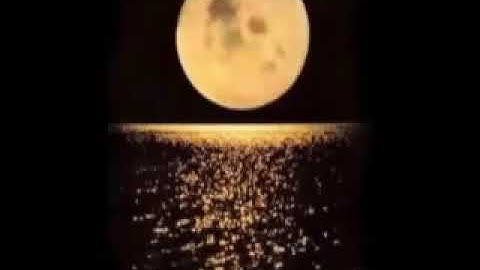 محمد صديق المنشاوي اخر سورة الحشر مقام صبا و نهاوند