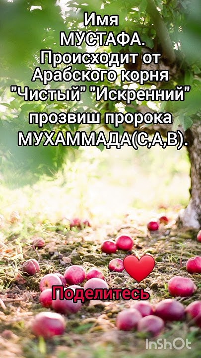 имя Мустафа обозначения. #surrah #тикток #суралар #sura #каран - YouTube