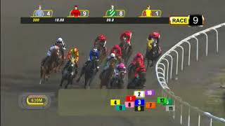 Singapore 20171015 Race 9