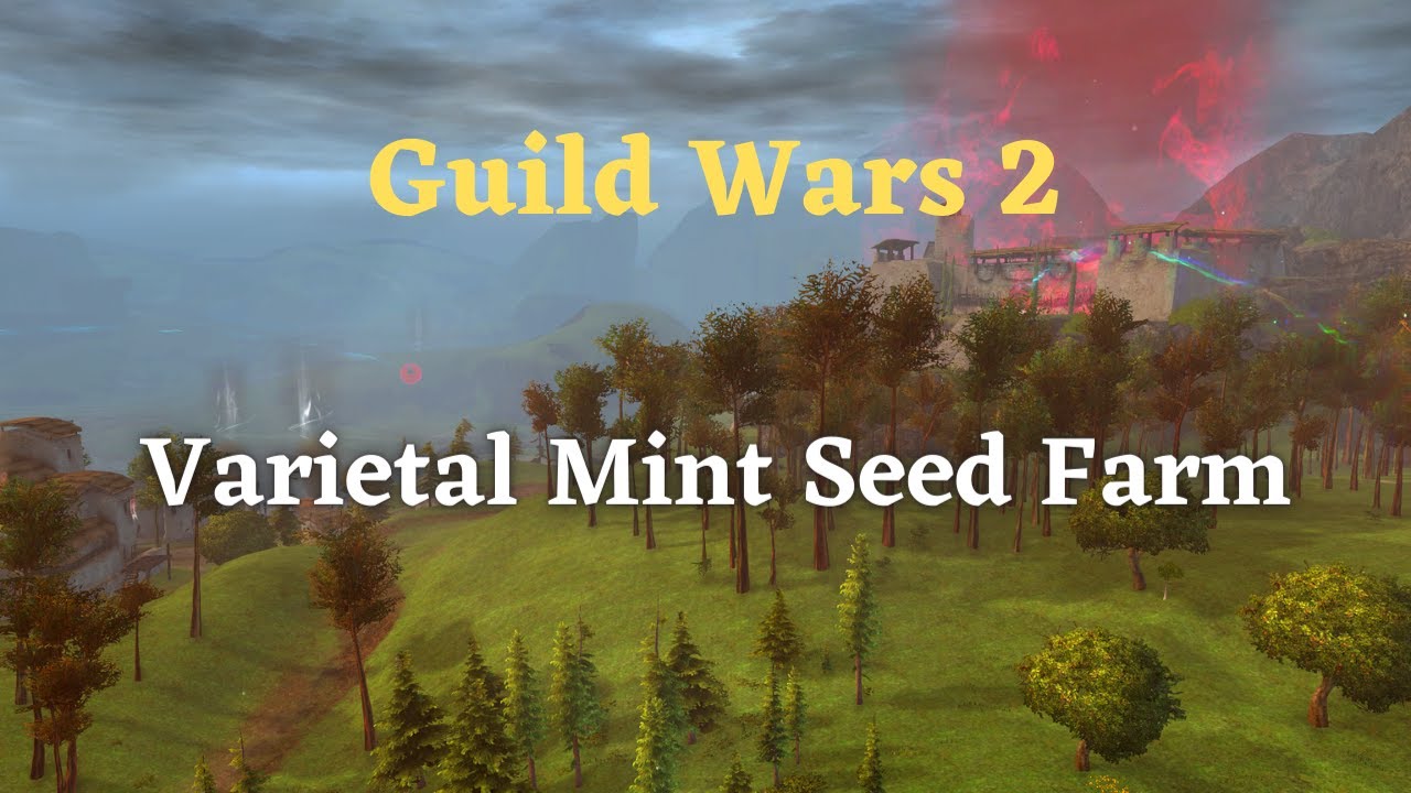 Guild Wars 2 Varietal Mint Seed Farm - YouTube