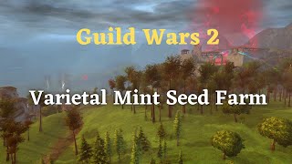 Guild Wars 2 Varietal Mint Seed Farm