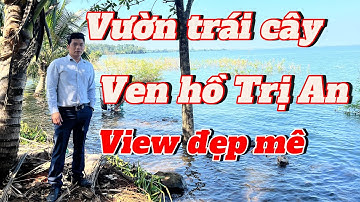 Vườn trái Đồng Nai. Ven hồ Trị An. 3333m2 view đẹp mê .