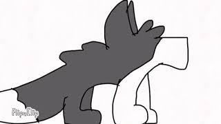 INKWOLF | Test Animation