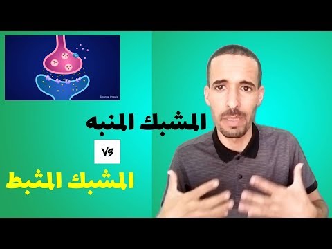 فيديو: لماذا الغشاء بعد المشبكي مهم؟