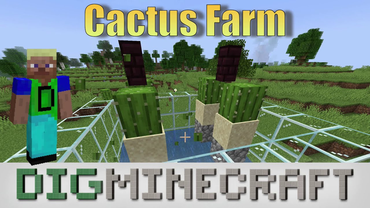 Minecraft Schematics Cactus Farm