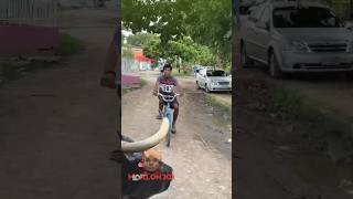 El Toro Divertido Part4 #Viral #Tendencias