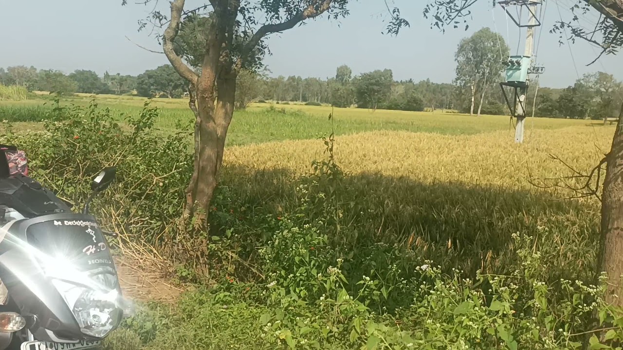 sale agriculture land on 2 acrs 5 gunta Red and sand soil near T