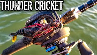 Bass Fishing with a Strike King Thunder Cricket (Better Than a CHATTERBAIT???)