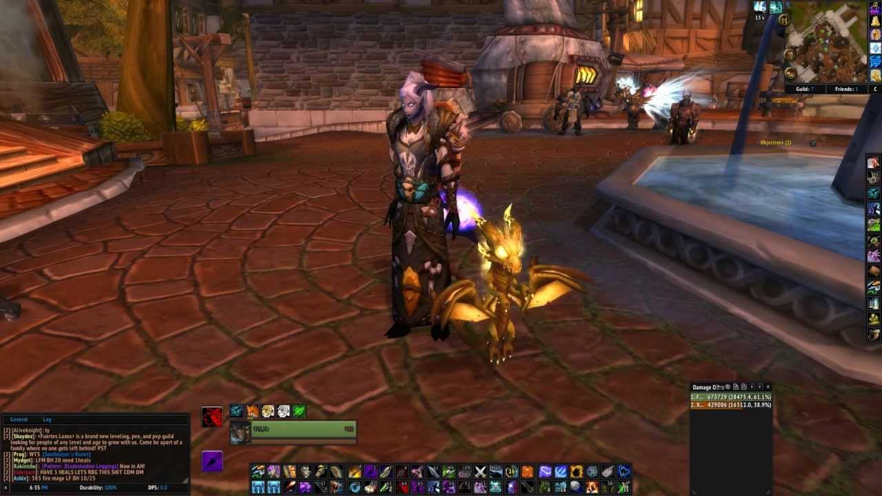 Wow Companion Pet: Soul of the Aspects