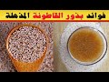 فوائد بذور القاطونة بذور القاطونة تفعل العجب بجسمك فوائد بذور القاطونة بذور القاطونة تفعل العجب بجسمك