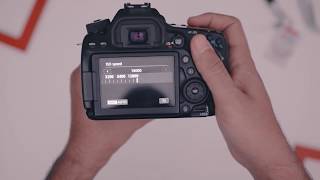 Canon 80D Review