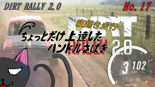 起き次第乗り込む「DiRT Rally 2.0」17