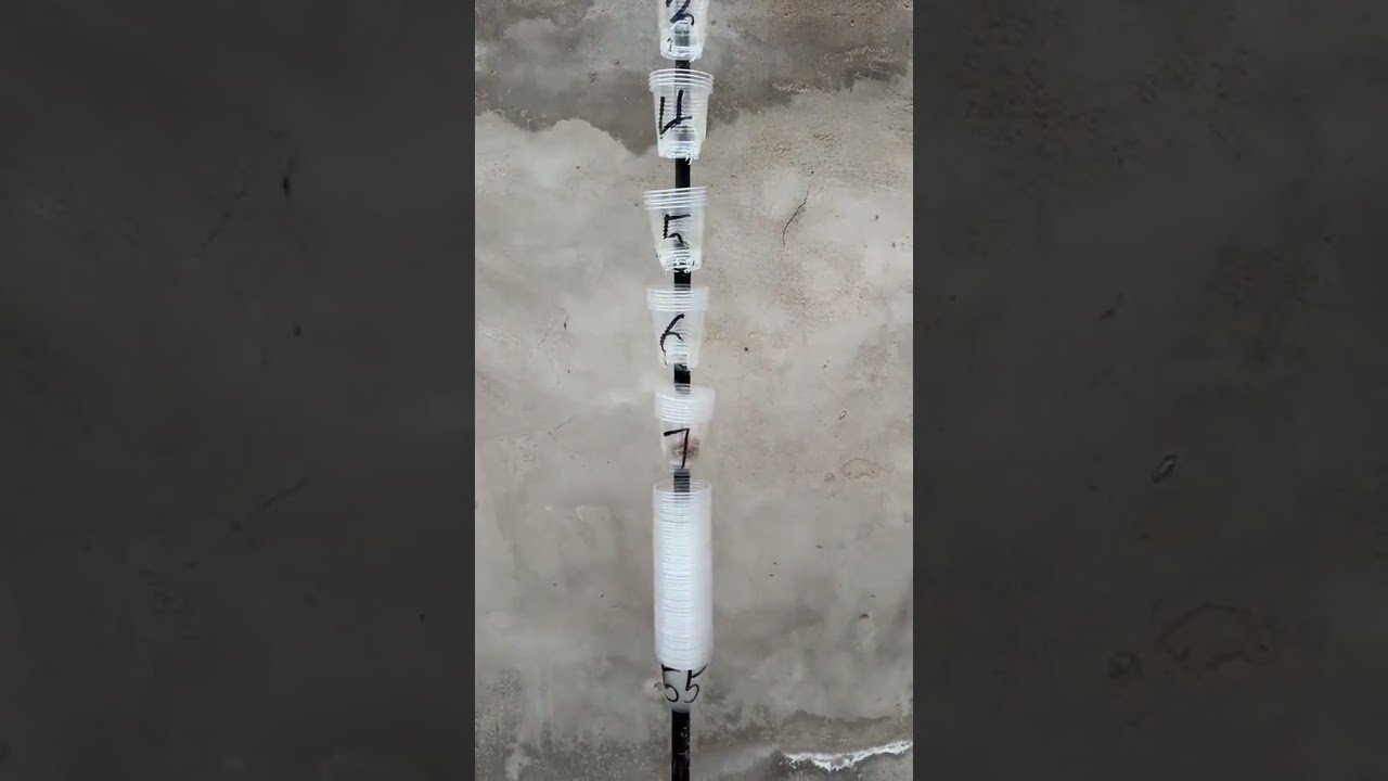 Satisfying Gravity Experiment 😲 Plastic Cup Drop Test from Height! Must Watch 🔥