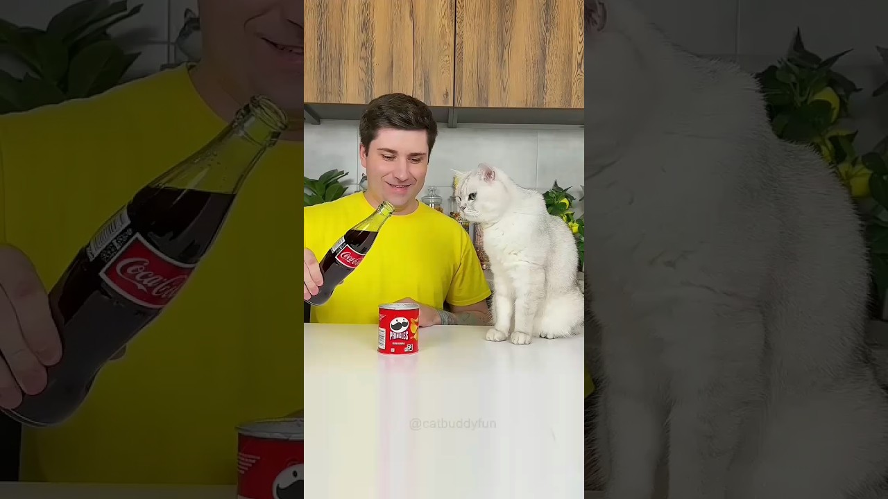 Представляем «VitaWear SmartBand» — носимое устройство нового поколения.