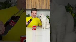 Download Lagu Introducing the\ MP3