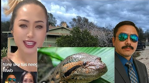 Teb maum nab Brenda Vaj 12/6/25