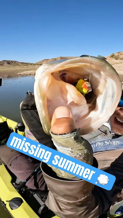 Missing throwing a frog in the heat of the summer ☀️ #fishinglife