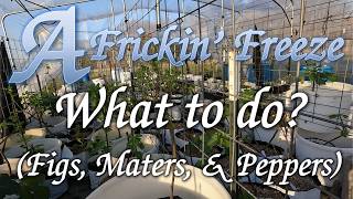 Dealing With An Unexpected Freeze