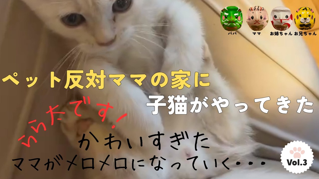 vol.3 かわいすぎた ママがメロメロになっていく・・・】子猫