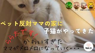 vol.3 かわいすぎた ママがメロメロになっていく・・・】子猫