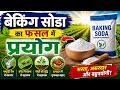 फसल में मीठा सोडा (Baking soda) कब और कितना डाले? फायद और नुकसान ✅ कीट नियंत्रण, ज्यादा उत्पादन ✅