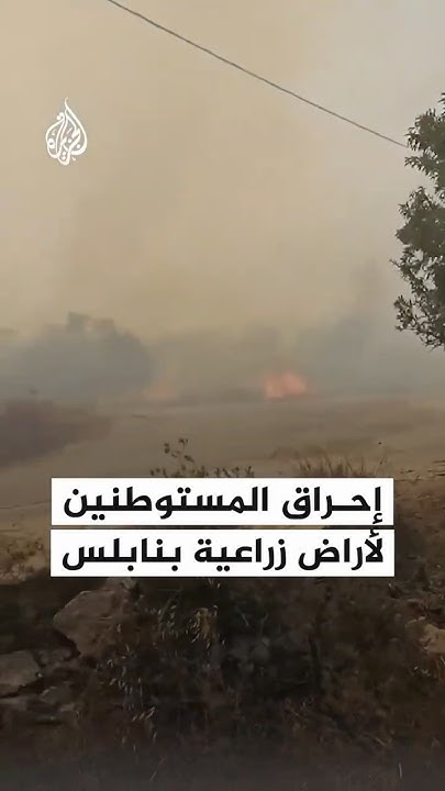      
 - نشر قبل 9 دقيقة
