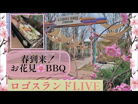 「春到来！お花見BBQ 」ロゴスランドライブ配信中！