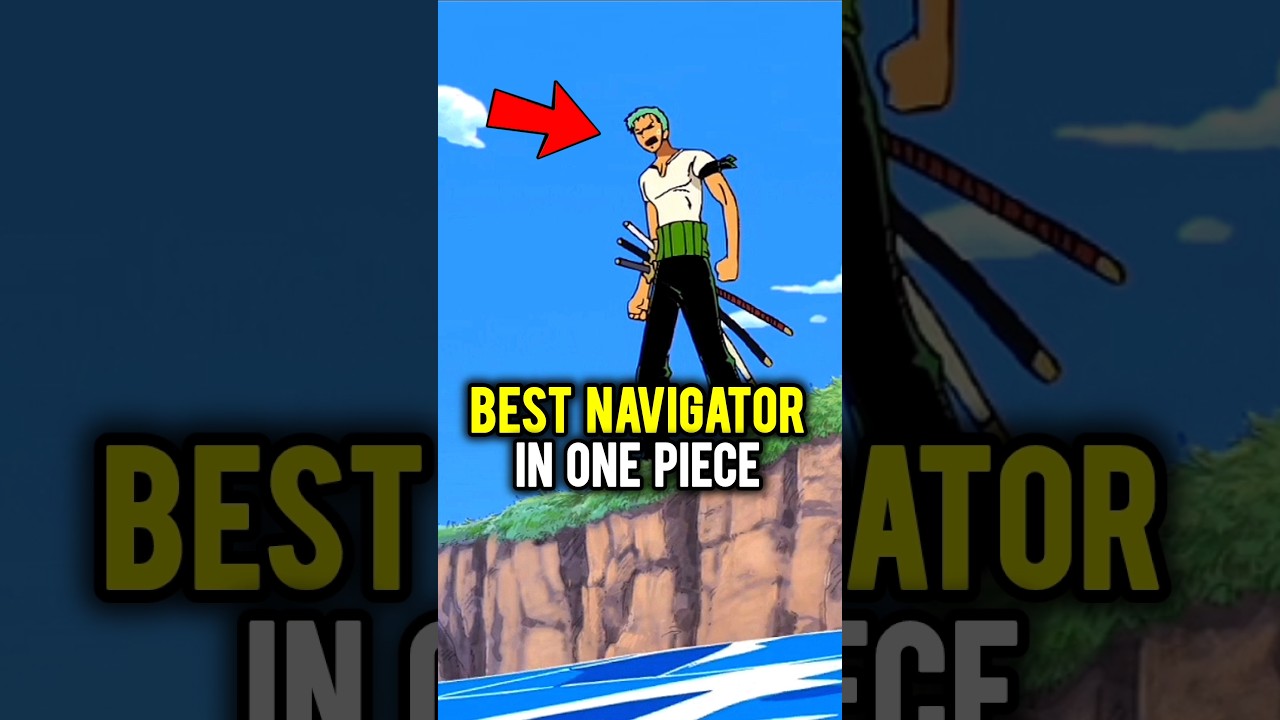 Who's the Best Navigator | One Piece