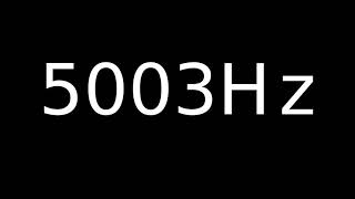 Speaker Sound Test 5003Hz