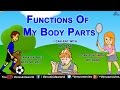 Functions Of My Body Parts