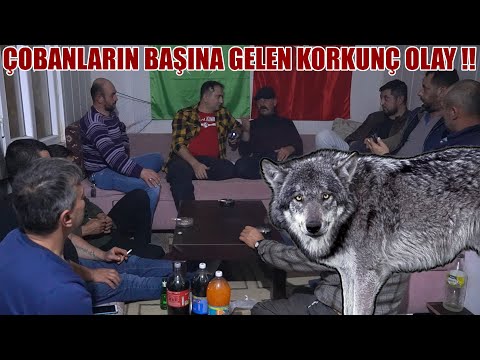 ÇOBANLARIN BAŞINA GELEN