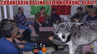 ÇOBANLARIN BAŞINA GELEN ÜRPERTİCİ OLAY ! ( YAŞANMIŞ OLAYLAR YENİ BÖLÜM ) KURT, AYI, ÇOBAN HİKAYELERİ