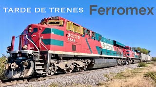 Trenes de carga pasando por el Distrito León