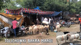 Tolichowki Bakra Mandi General Over view