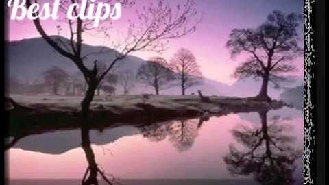 تلاوة القاريء عبدالله العولقي . آيات من سورة النساء