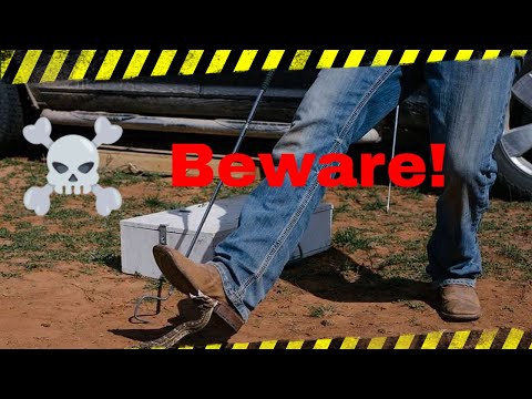 Vídeo: Os gumboots impedirão uma picada de cobra?