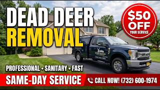 Emergency Dead Deer Pickup NJ | Bergen, Morris & Monmouth Counties (24/7 Service)