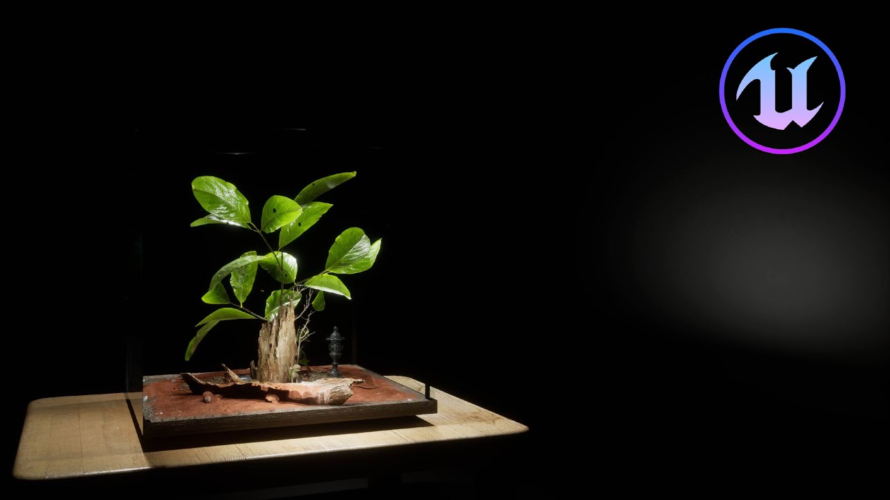 Lilly Of The Valley Vivarium