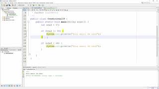 El Condicional if else en Java