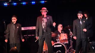 Video thumbnail of "Kenny Vance & The Planotones - Cara Mia"