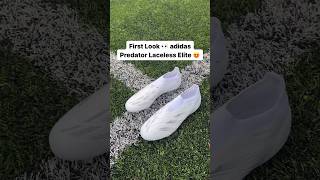 First Look 👀 adidas Laceless Predator Elite 🔥 #adidas #adidas football #football #footballboots