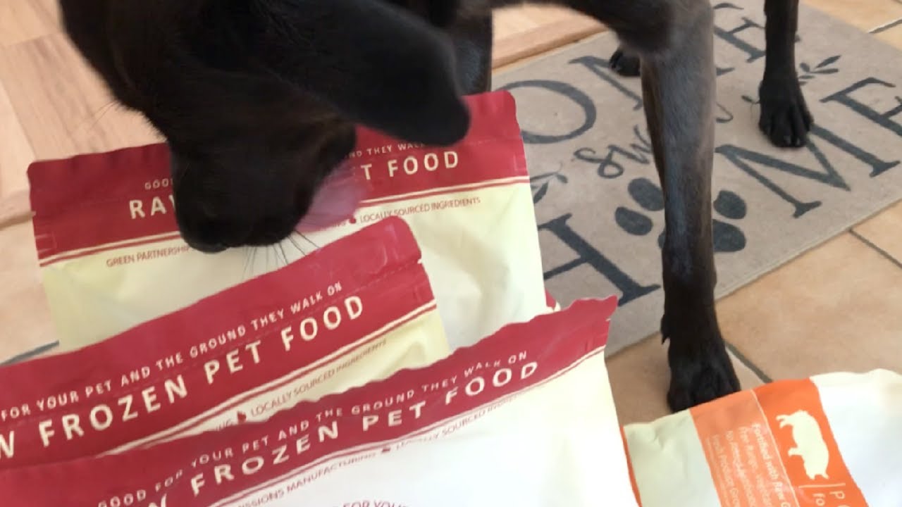 Dog Unboxing Premade RAW Food Dog VLOG 02.08.23 YouTube