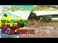 荒川のごみの現状(20/04/21 荒川 左岸 扇大橋 南側付近)