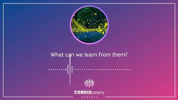 Bio-inspired Innovation