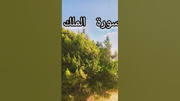 سورة تنجيك من عذاب القبر سورة الملك #تلاوة_خاشعة #اكسبلور #المصحف #القرآن_الكريم #راحة_نفسية #قرآن