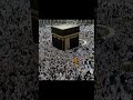 تهليل الحجاج 