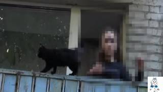 Друзья живодёра из Владимира: "Он не раскаивается в убийстве котёнка" Друзья живодёра из Владимира: "Он не раскаивается в убийстве котёнка"